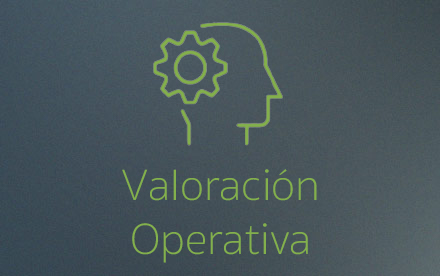 Es el análisis dinámico, continuo y sistemático de los procesos implementados en la entrega de productos o servicios, para la alineación a la estrategia empresarial, a través de las mejores prácticas del mercado y las normas industriales.